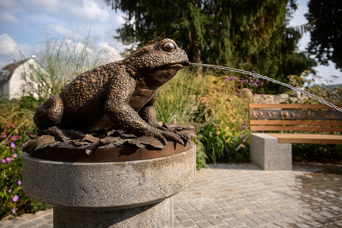 Toad fountain in Tauberbischofsheim, Main-Tauber district, Baden-Wuerttemberg, Germany, Europe