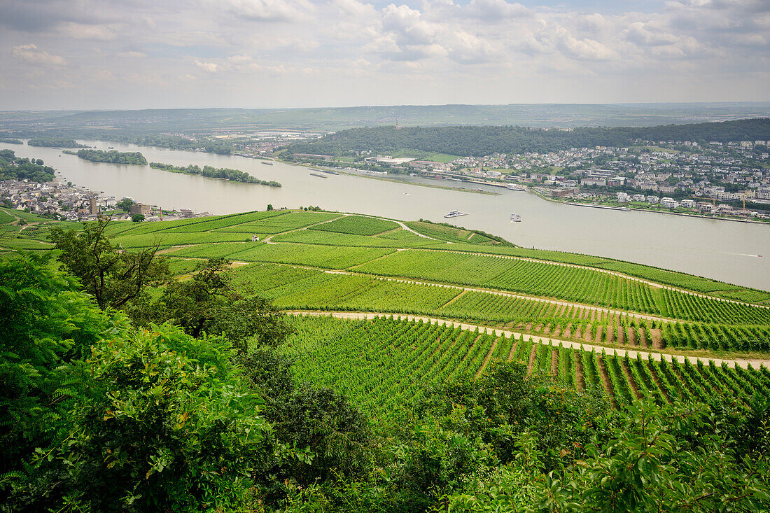 Blick vom Niederwalddenkmal auf Rüdesheim am Rhein und Rheintal, Rheingau-Taunus-Kreis, Hessen, Deutschland, Europa