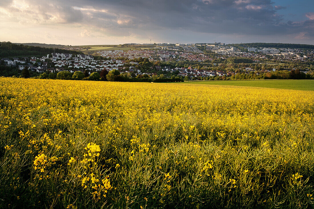 View from Schanzberg to the Science Park at Eselsberg, Ulm, Swabian Jura, Baden-Wuerttemberg, Germany, Europe