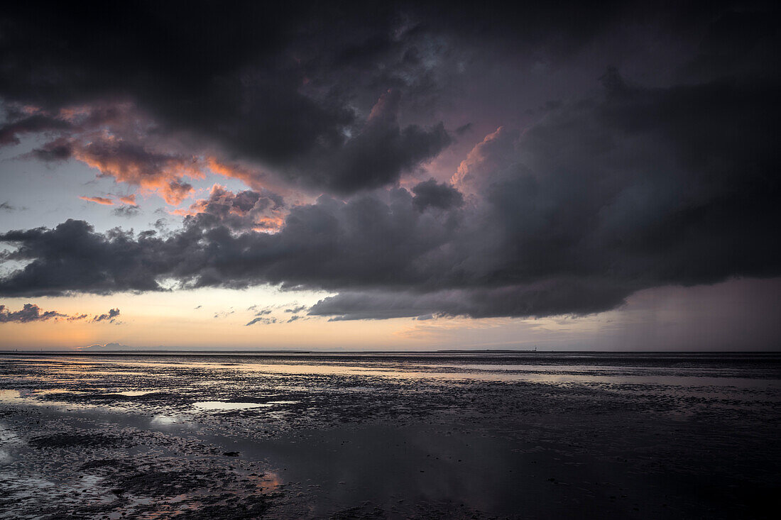 Wadden Sea at low tide in the evening light, Schillig, Wangerland, Friesland, Lower Saxony, Germany, Europe