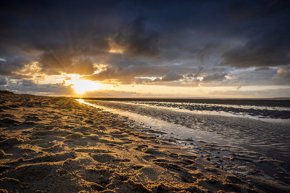 Wadden Sea at low tide in the evening light, Schillig, Wangerland, Friesland, Lower Saxony, Germany, Europe