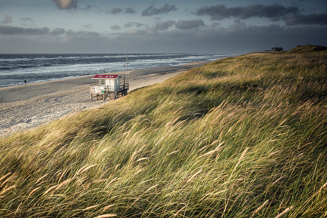 Strand von Rantum mit Strandhütte im Abendlicht, Sylt, Nordfriesland, Schleswig-Holstein, Deutschland, Europa
