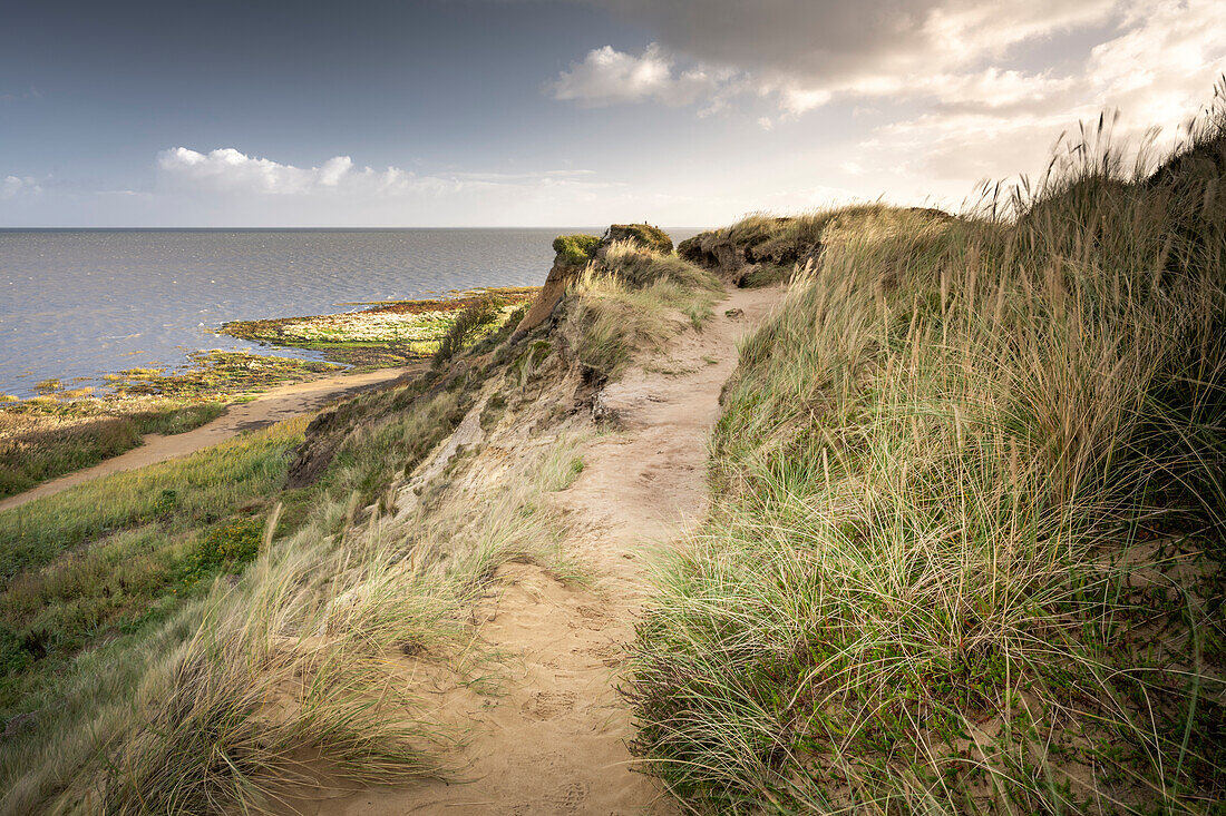 The Morsum Cliff in the morning light, Morsum, Sylt, North Friesland, Schleswig-Holstein, Germany, Europe