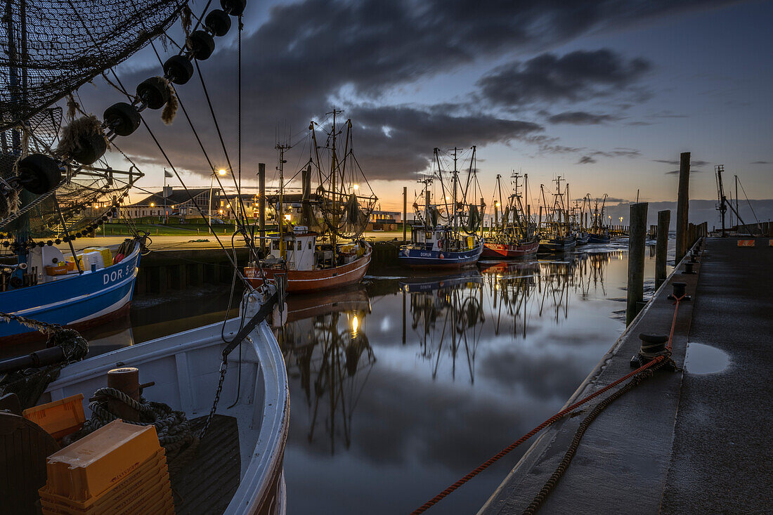 Der Kutterhafen in Dorum-Neufeld im Abendlicht, Wurster Nordseeküste, Cuxhaven, Niedersachsen, Deutschland, Europa