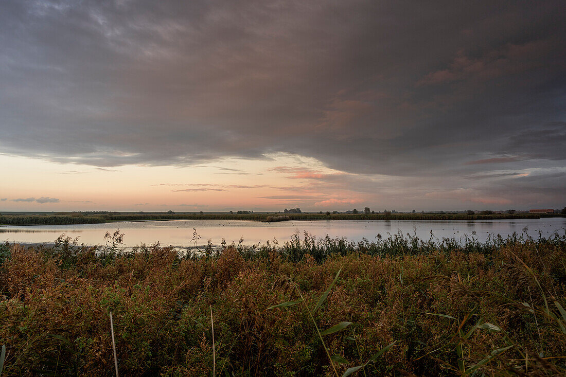 Polder landscape near Pilsum, Krummhoern, Aurich, East Friesland, Lower Saxony, Germany, Europe