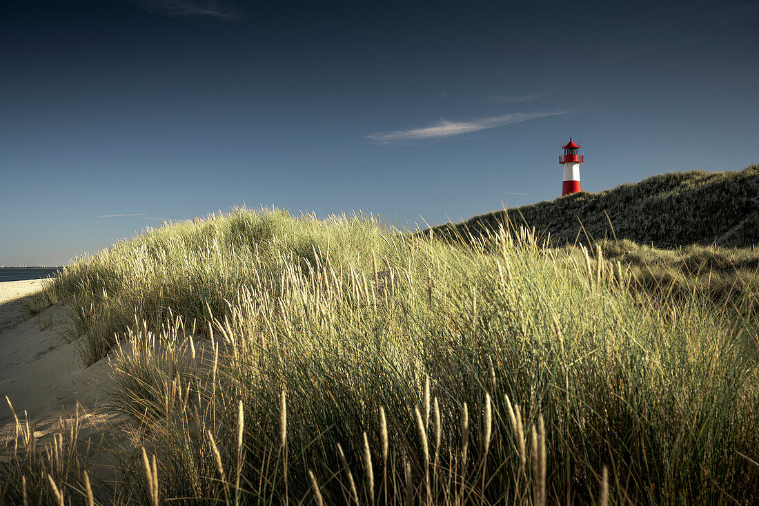 List-Ost lighthouse, Ellenbogen, List, Sylt, North Friesland, Schleswig-Holstein, Germany, Europe