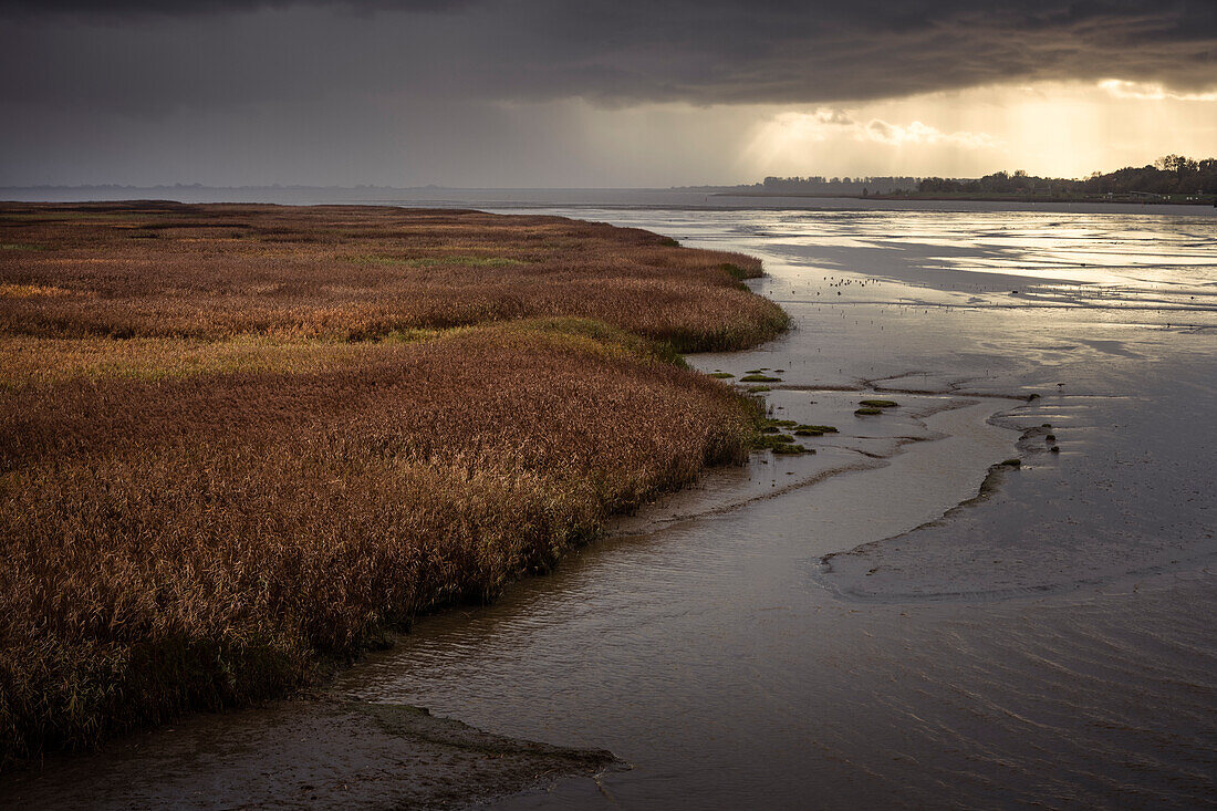 Das Eiderwatt im Regen, Tönning, Eiderstedt, Nordfriesland, Schleswig-Holstein, Deutschland, Europa