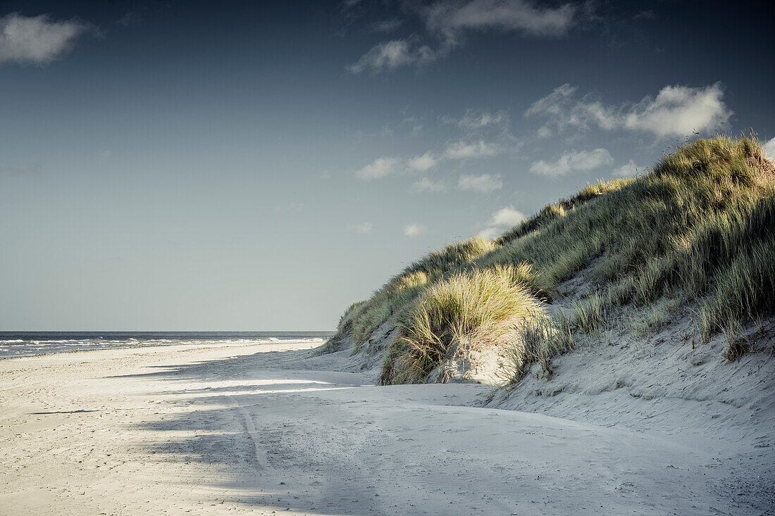 Dune on the beach of Baltrum, East Frisian Islands, Lower Saxony, Germany, Europe