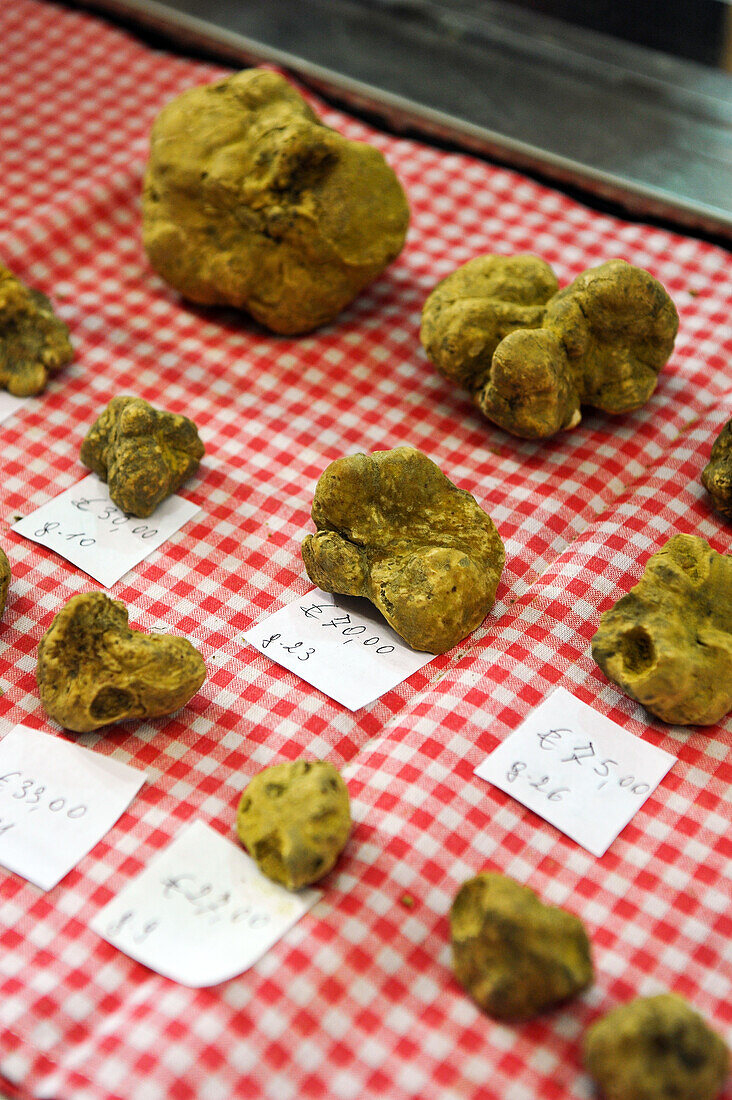 Alba, Piedmont, Italy. White Truffle World Market.