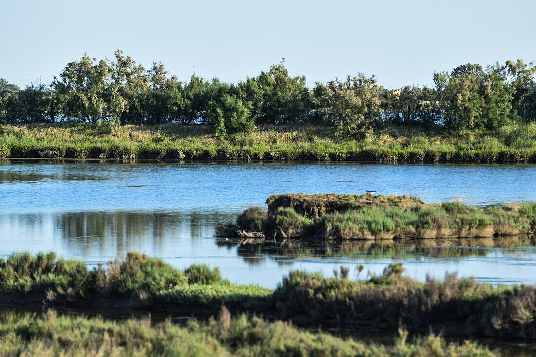 Naturpark Po-Delta, Venetien, Italien