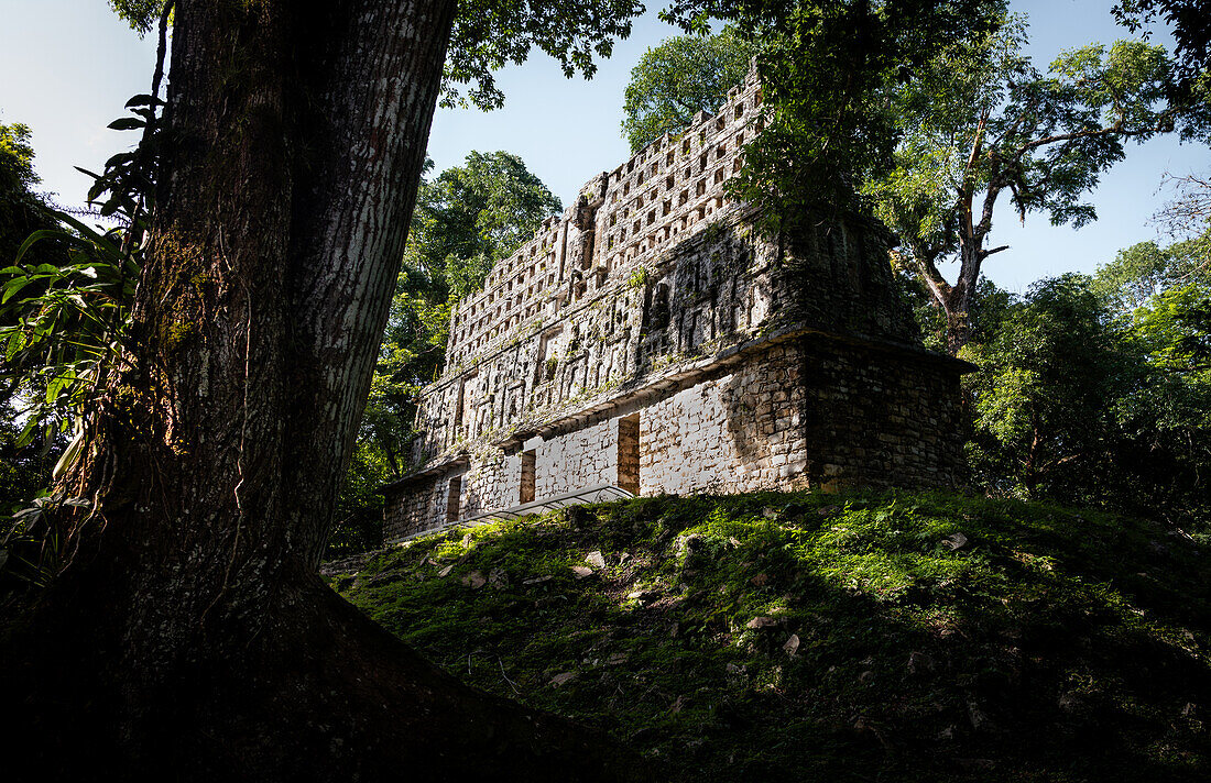 „Ancient Jungle World“, Maya-Tempel, archäologische Stätte tief im Dschungel, Yaxchilán, Chiapas, Mexiko
