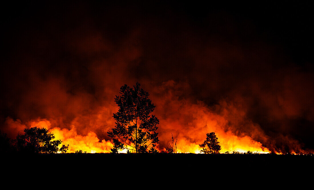 „Bush Inferno“, brennende Felder in der Nacht, Bauern brennen ihre Felder nieder, um sie zu düngen, Primavera, Vichada, Kolumbien