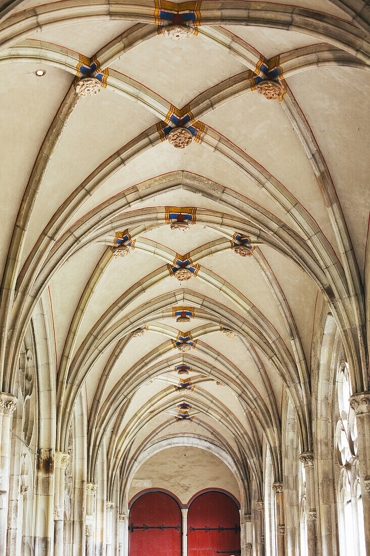 Utrecht, The Nehterlands, Ceiling, arch, church
