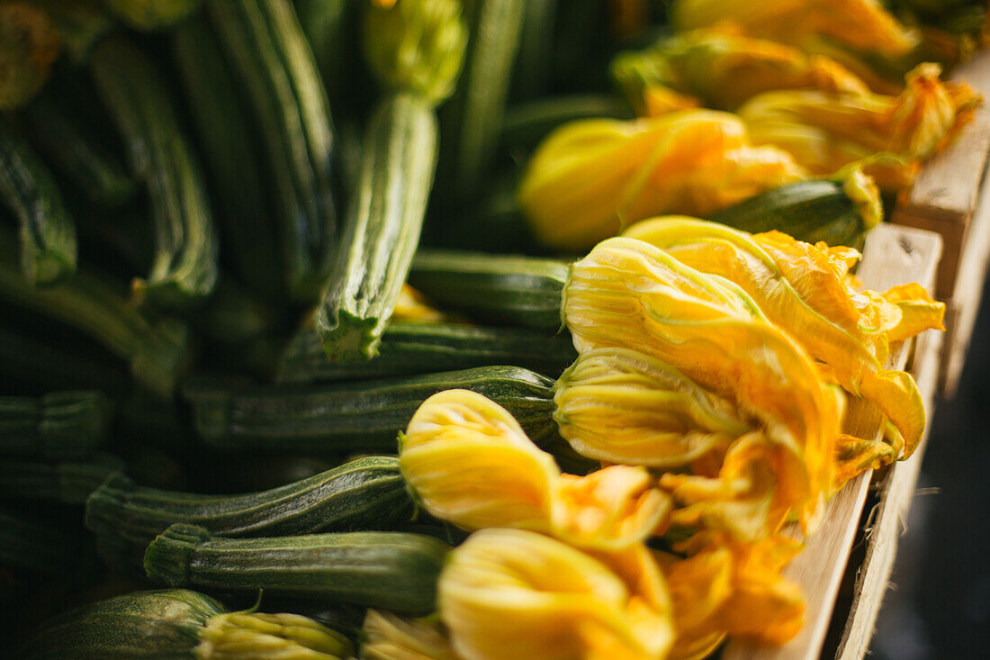 Florence, Italy, Zucchini flowers for sale at the market