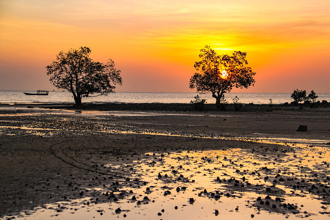 Evening mood with warm colors at sunset on the sea with silhouettes of trees and boats, beach in the west of the island of Zanzibar, Tanzania, Africa