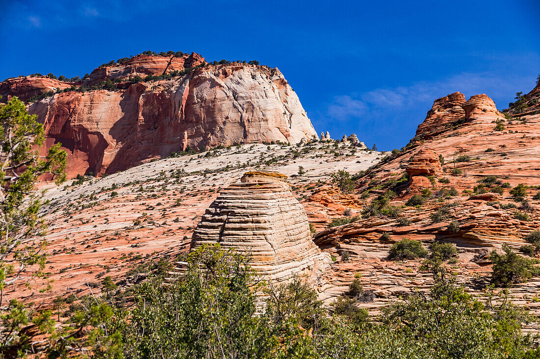 Fantastic rock formations and landscape on the Canyon Overlook Trail hike in Zion National Park, Utah, USA