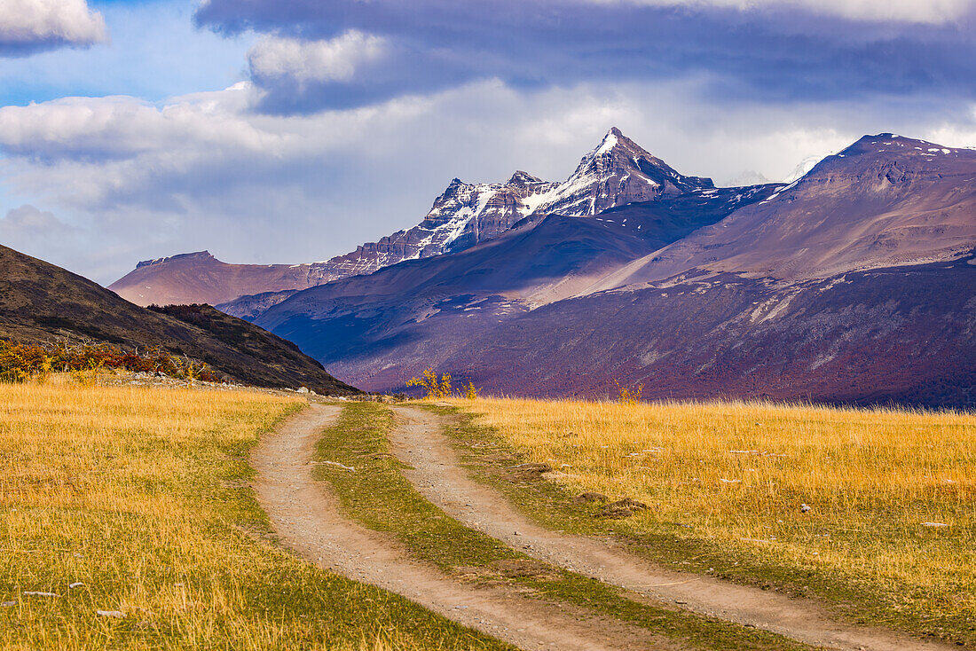 Einfacher Weg durch Grasland in der Nähe des Lago Argentino vor markanten Berggipfeln der Anden, Argentinien, Patagonien, Südamerika