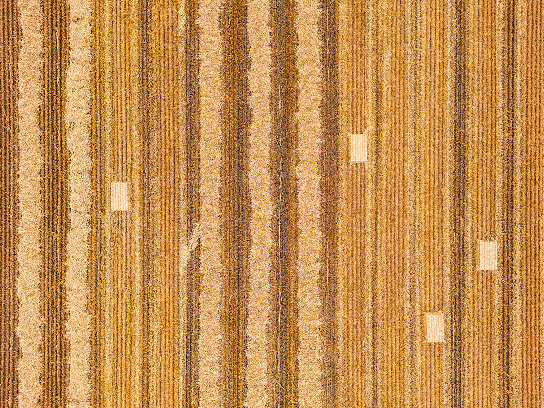 Dry bales of hay on a mown field in summer, directly from above, Hesse, Germany