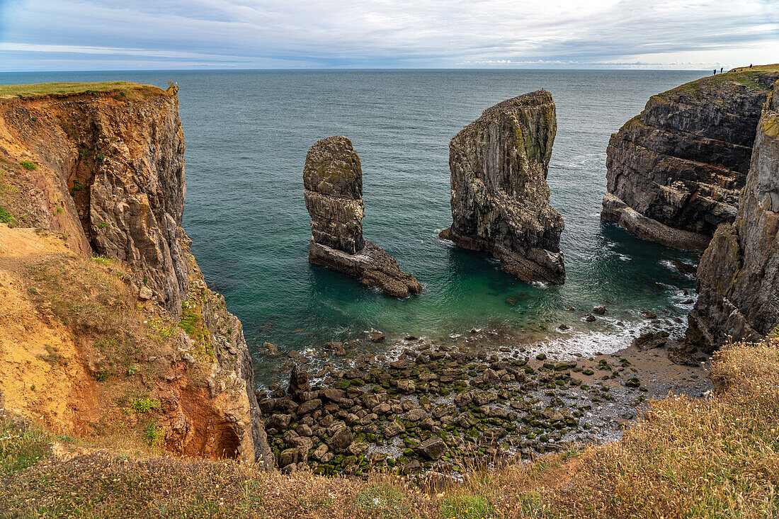 Elegug Stacks or Stack Rocks rock formation in Pembrokeshire Coast National Park, Pembrokeshire, Wales, United Kingdom, Europe