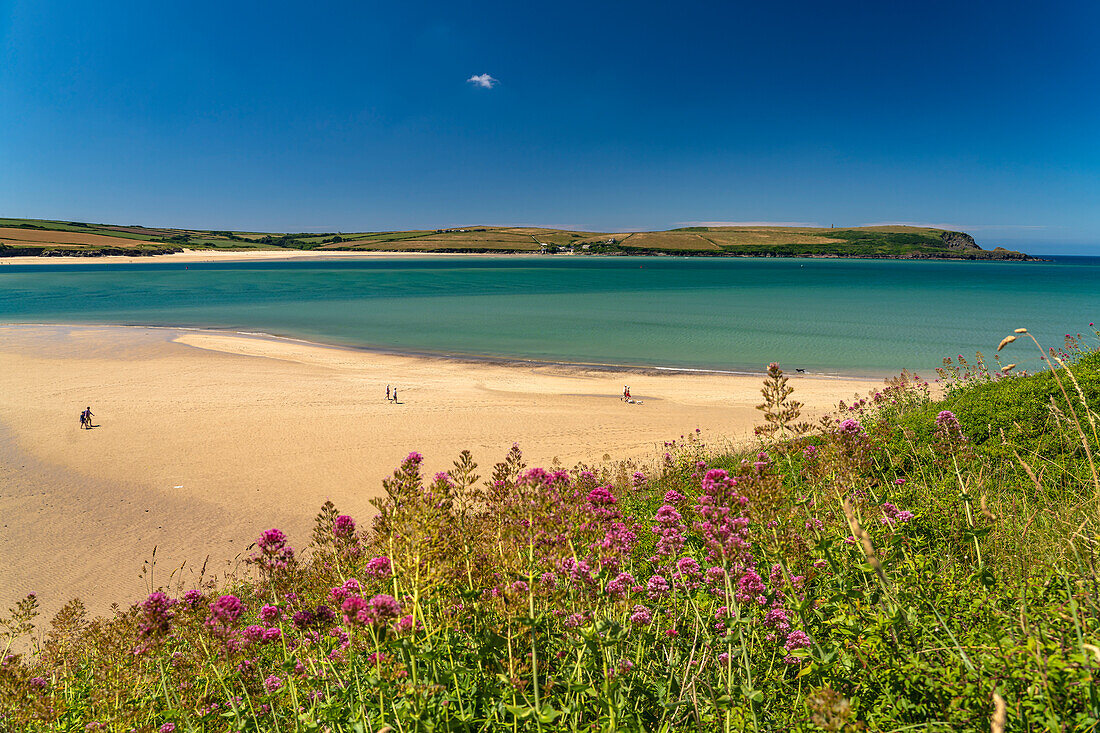 Strand der Daymer Bay und Mündung des Fluss Camel bei Rock, Cornwall, England, Großbritannien, Europa 