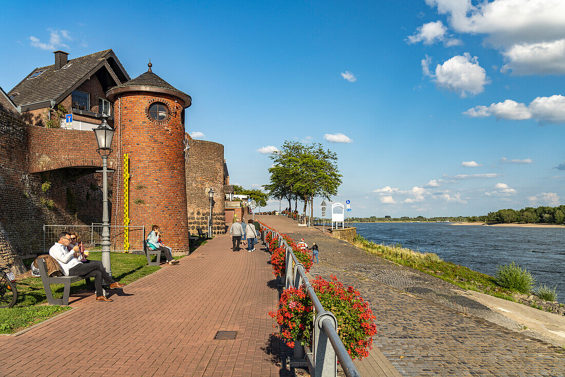 Rheinpromenade mit Rheinpegel in Rees, Niederrhein, Nordrhein-Westfalen, Deutschland, Europa 