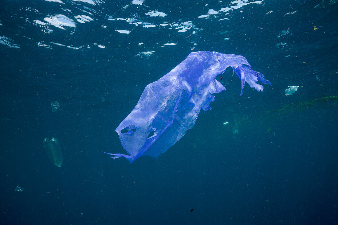 Plastikmüll im Meer, Raja Ampat, West Papua, Indonesien