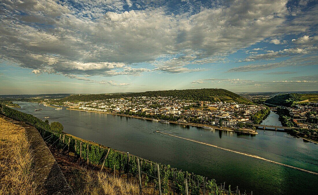Rhine Valley near Bingen in the evening light: View over a Rüdesheim vineyard to Bingen and the mouth of the Nahe into the Rhine, Upper Middle Rhine Valley World Heritage Site, Hesse and Rhineland-Palatinate, Germany