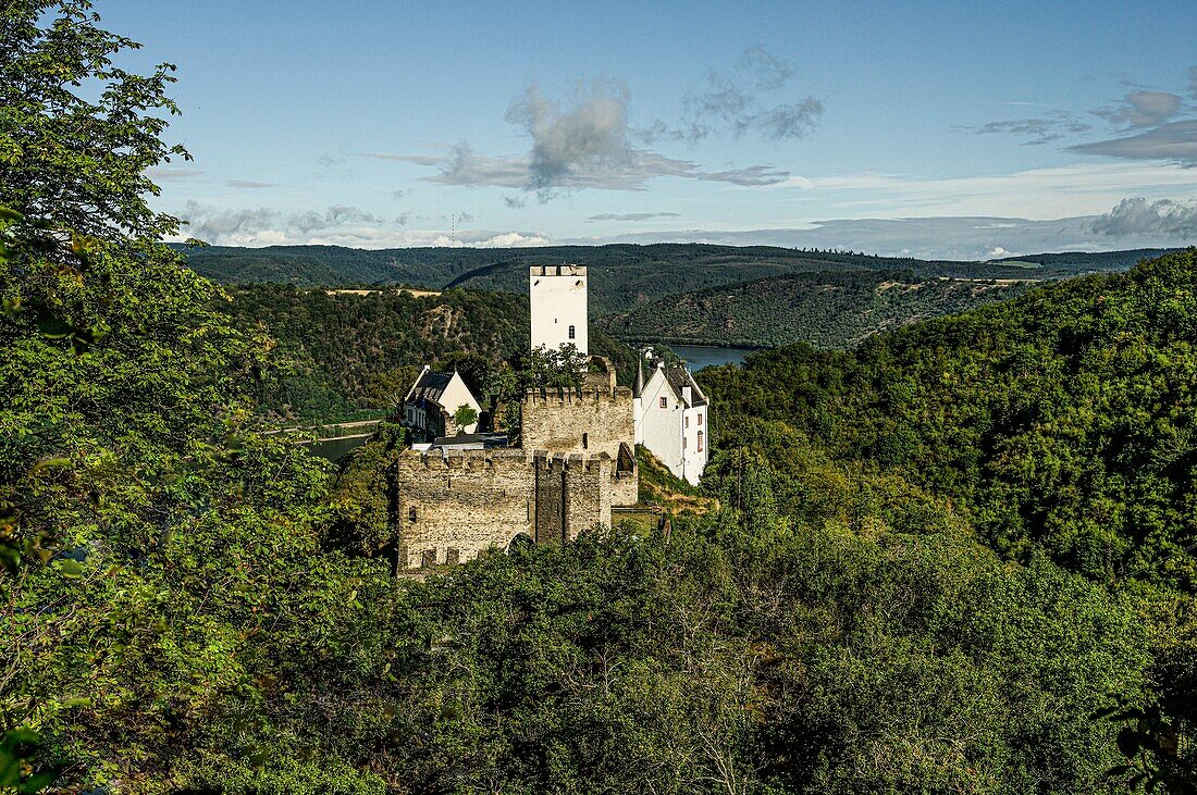 Burg Sterrenberg und das Rheintal bei Kamp-Bornhofen im Morgenlicht, Oberes Mittelrheintal, Rheinland-Pfalz, Deutschland