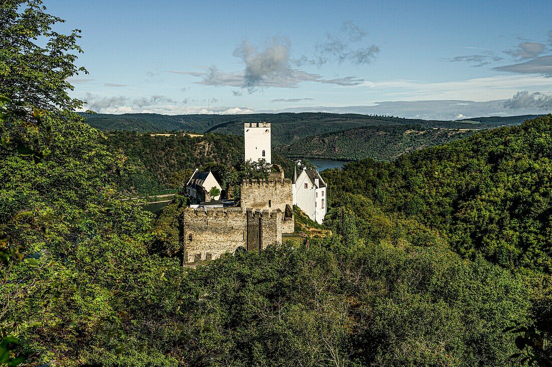 Sterrenberg Castle and the Rhine Valley near Kamp-Bornhofen in the morning light, Upper Middle Rhine Valley, Rhineland-Palatinate, Germany