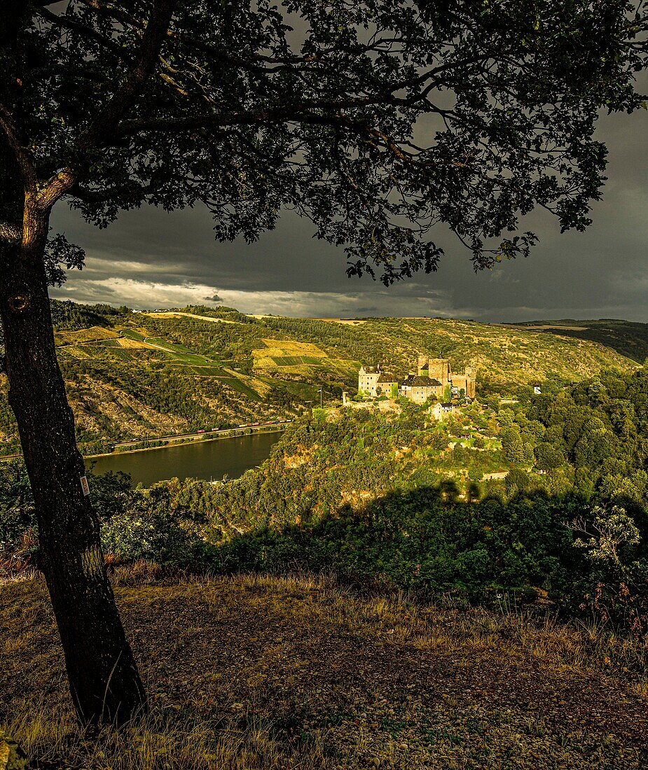 Schönburg and the Rhine Valley near Oberwesel in the evening light, Upper Middle Rhine Valley, Rhineland-Palatinate, Germany