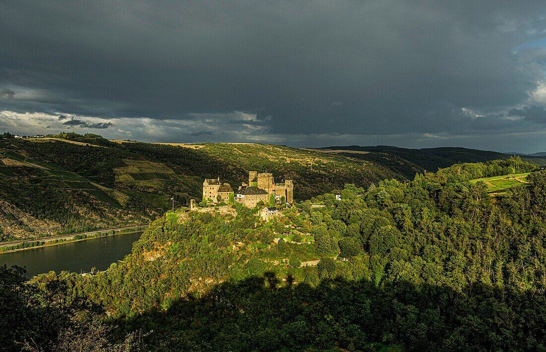 Schönburg und das Rheintal bei Oberwesel im Abendlicht, Oberes Mittelrheintal, Rheinland-Pfalz, Deutschland