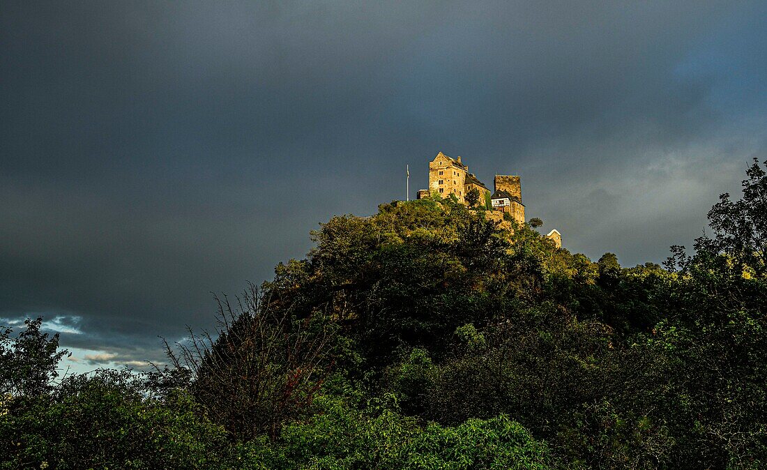 Schönburg im Abendlicht, Oberwesel, Oberes Mittelrheintal, Rheinland-Pfalz, Deutschland