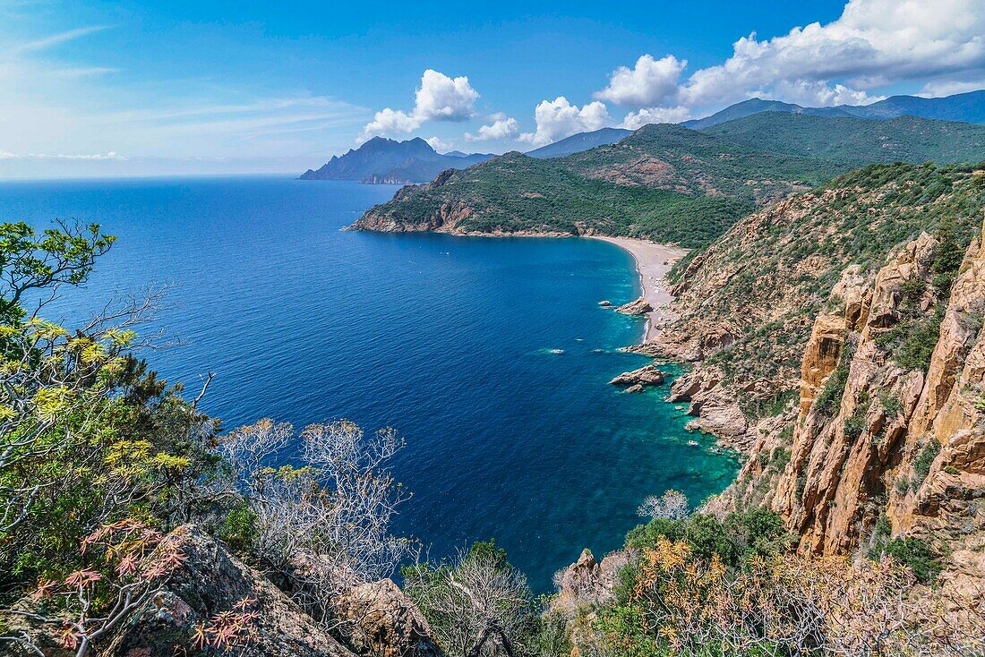 Coastal landscape near Porto, Calanche de Piana, coastal road, rocks, Mediterranean Sea, Corsica, France, Europe