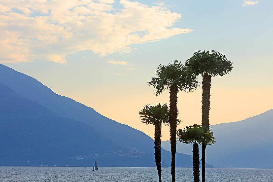 View of Lake Maggiore from the lake promenade in Ascona, Ticino, Switzerland