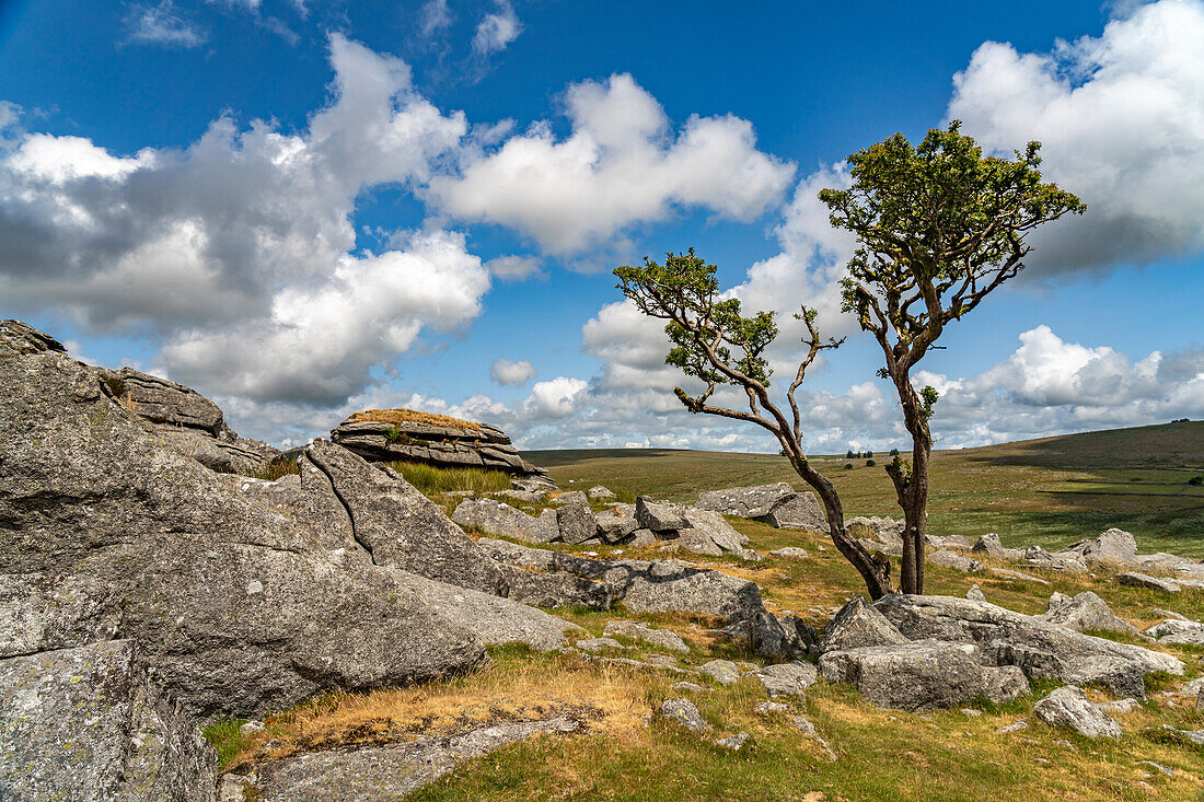 Landscape at King's Tor rock formation on Dartmoor, Devon, England, United Kingdom, Europe