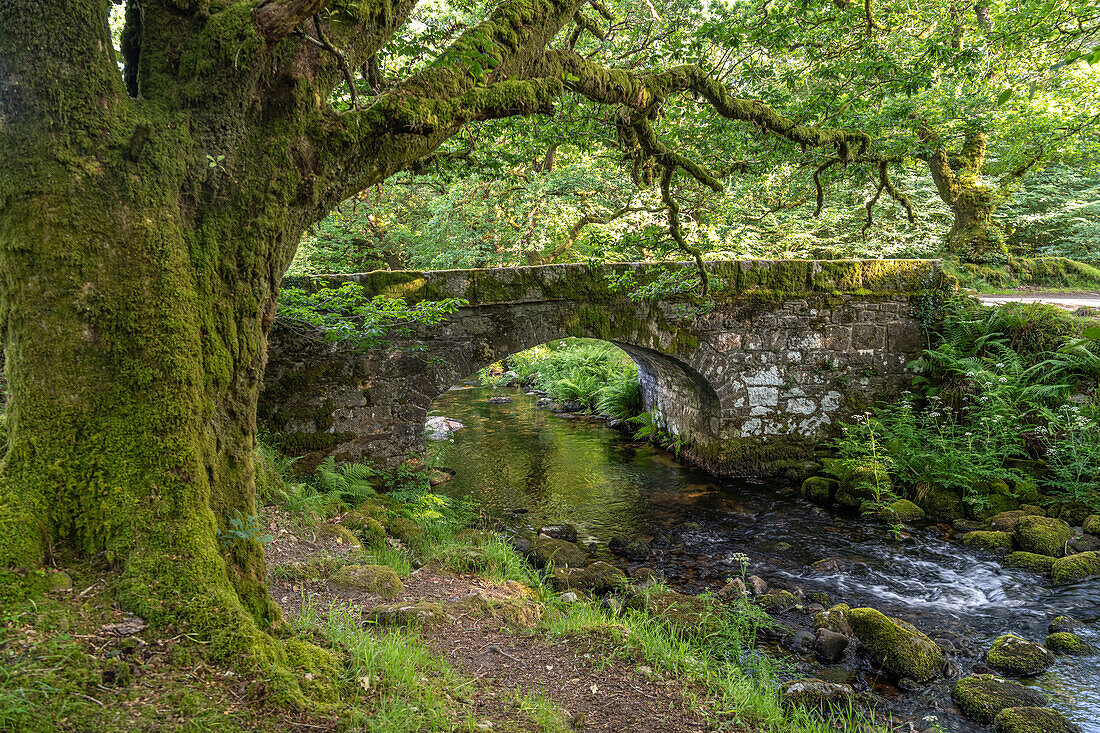 Die historische Norsworthy Brücke über den Fluss Meavy,  Dartmoor, Devon, England, Großbritannien, Europa
