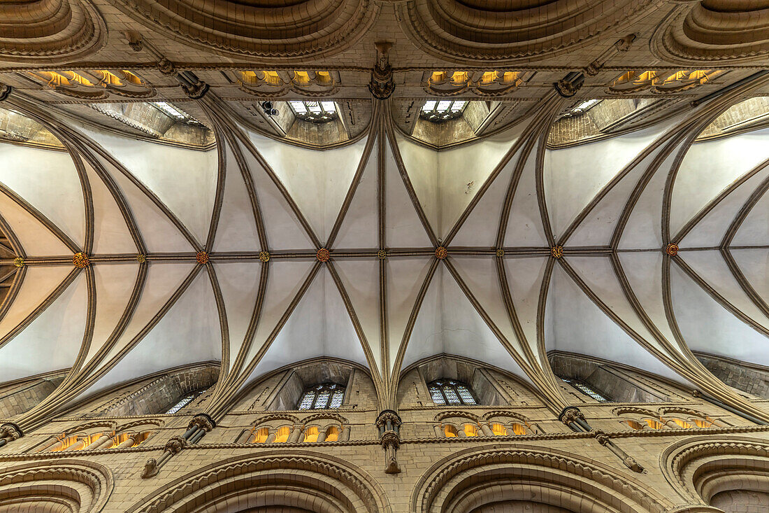 Decke der Kathedrale von Gloucester, England, Großbritannien, Europa 