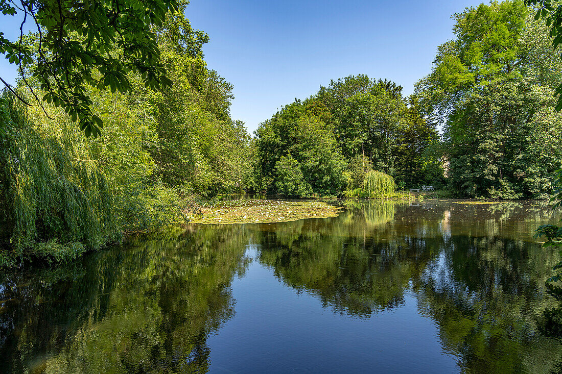 Teich im Park des Worcester College der University of Oxford, Oxfordshire, England, Großbritannien, Europa  