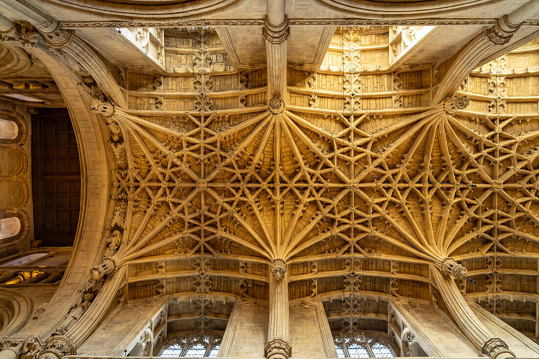 Vaulted ceiling of Christ Church College Cathedral, Oxford, Oxfordshire, England, United Kingdom, Europe