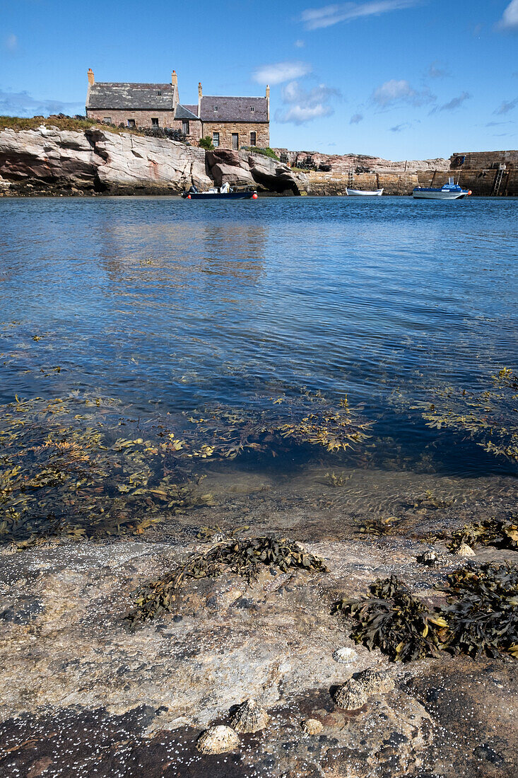 Blick auf einen verlassenen Hafen, East Lothian, Schottland, Vereinigtes Königreich