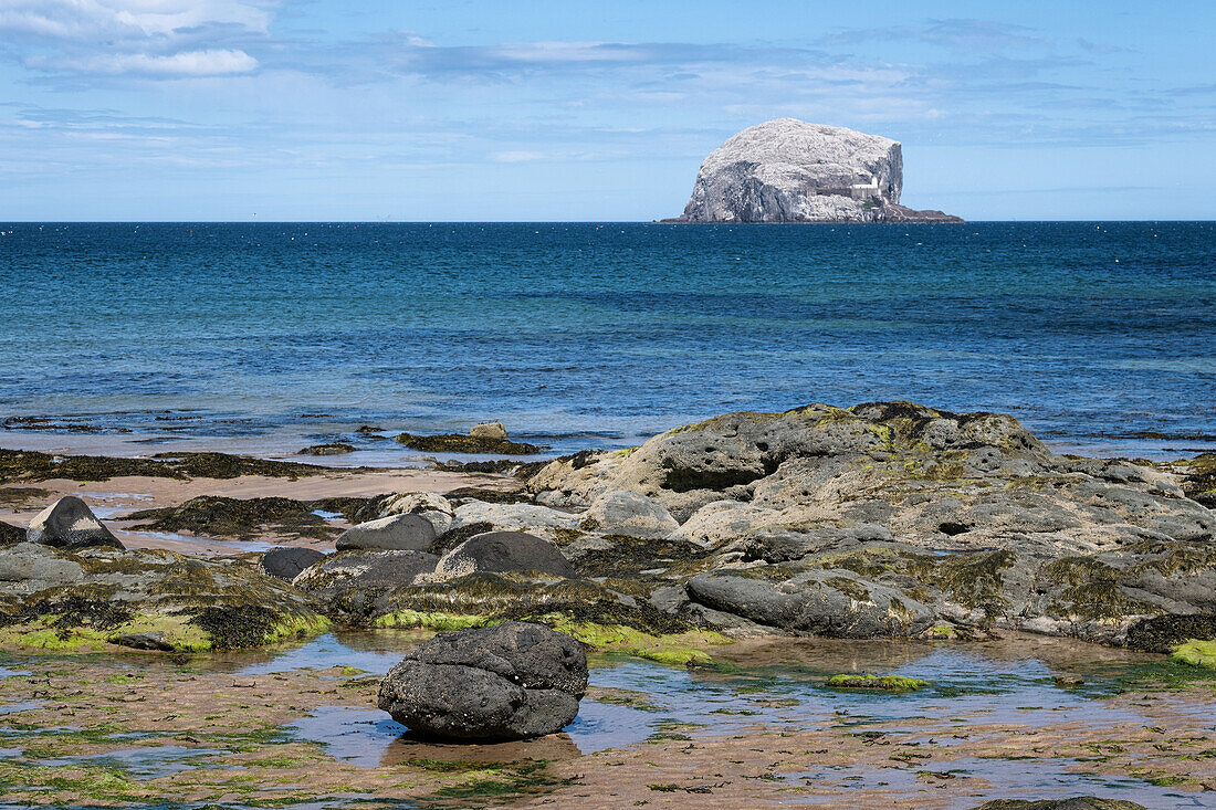 Blick auf Bass Rock mit Felsenstrand im Vordergrund, East Lothian Coast, Schottland, Vereinigtes Königreich