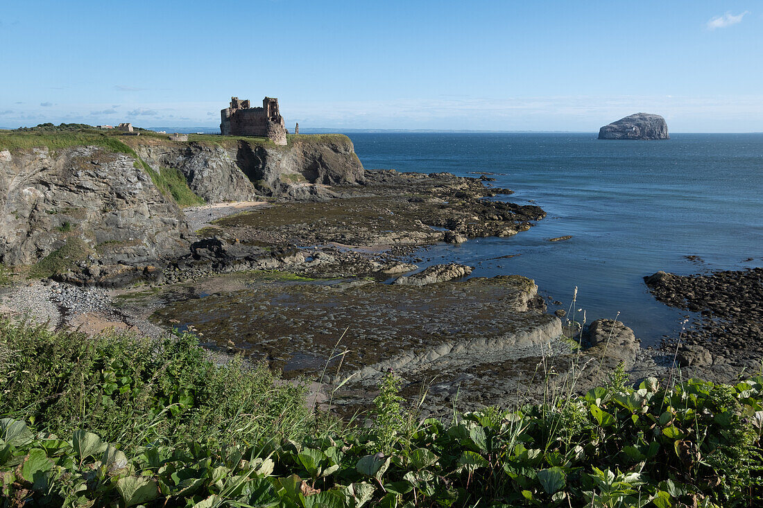 View of Tantallon Castle at low tide, North Berwick, East Lothian, Scotland, United Kingdom