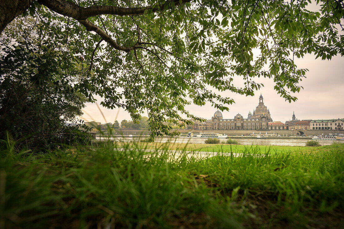 View over the Elbe to the old town of Dresden, dome of the Frauenkirche and lemon squeezer, Free State of Saxony, Germany, Europe