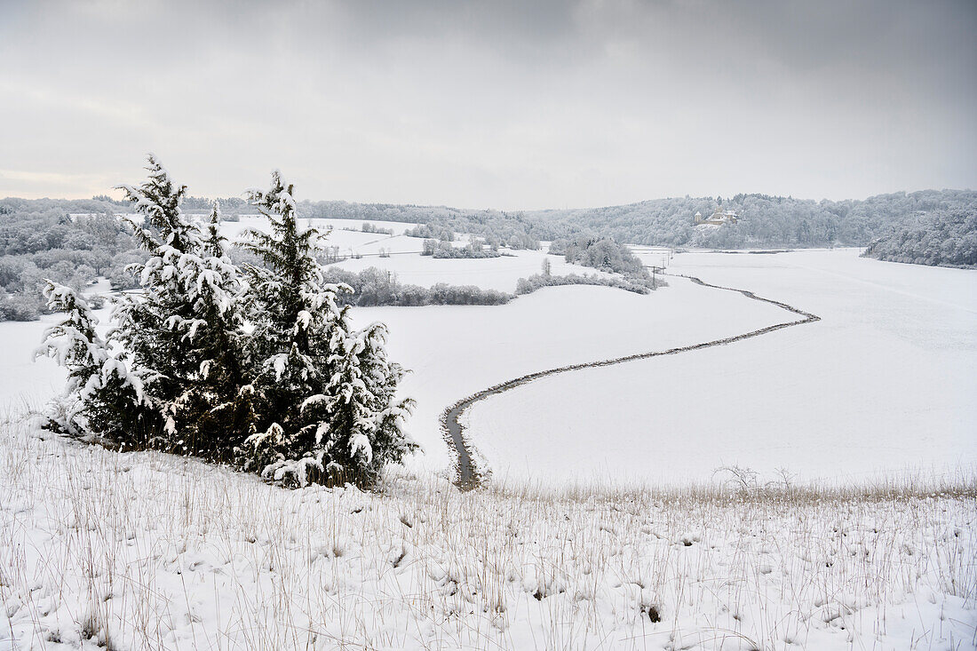 Burgruine Kaltenburg im Lonetal, Landkreis Heidenheim, Schwäbische Alb, Baden-Württemberg, Deutschland, Europa