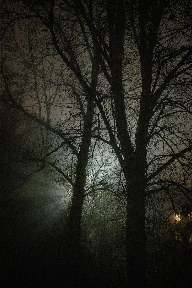 foggy and gloomy mood, Neu-Ulm, administrative district of Swabia, Bavaria, Germany, Europe