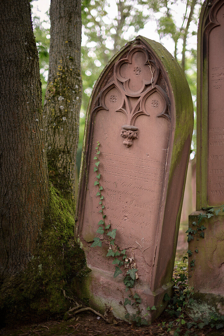 UNESCO Welterbe "SchUM Stätten", Mittelalterliche Grabsteine, Jüdischer Friedhof "Judensand", Mainz, Rheinland-Pfalz, Deutschland, Europa