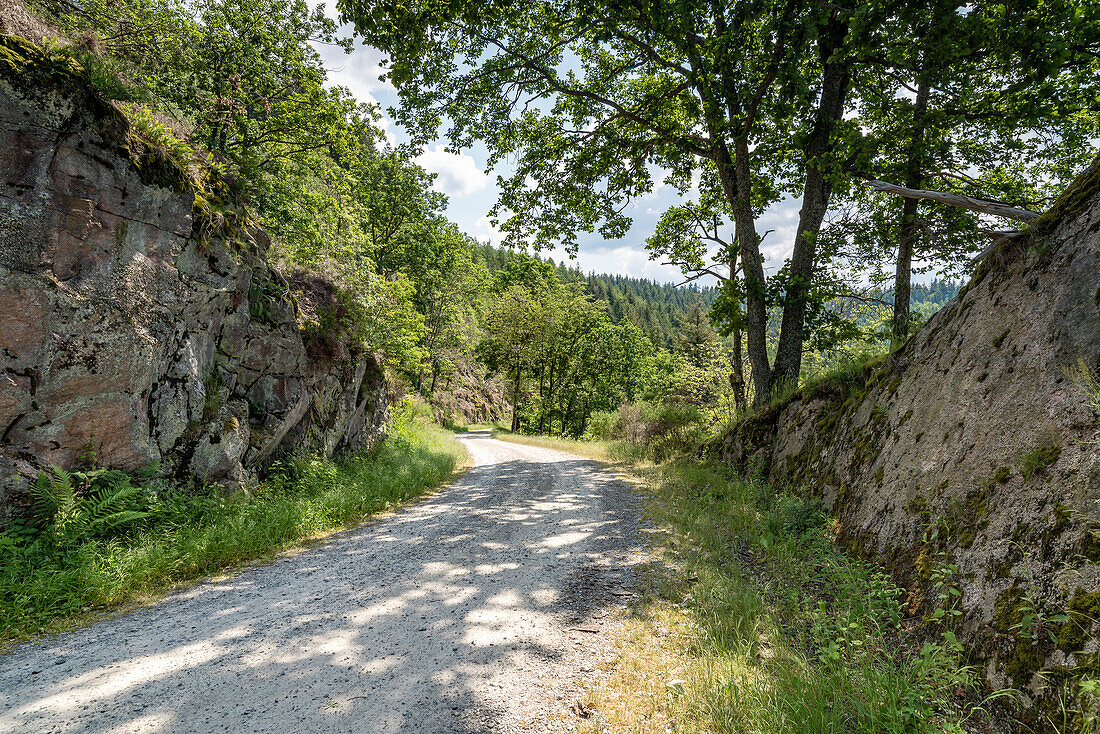 Hiking trail to the Lautenfelsen, Gernsbach, Black Forest, Baden-Württemberg, Germany