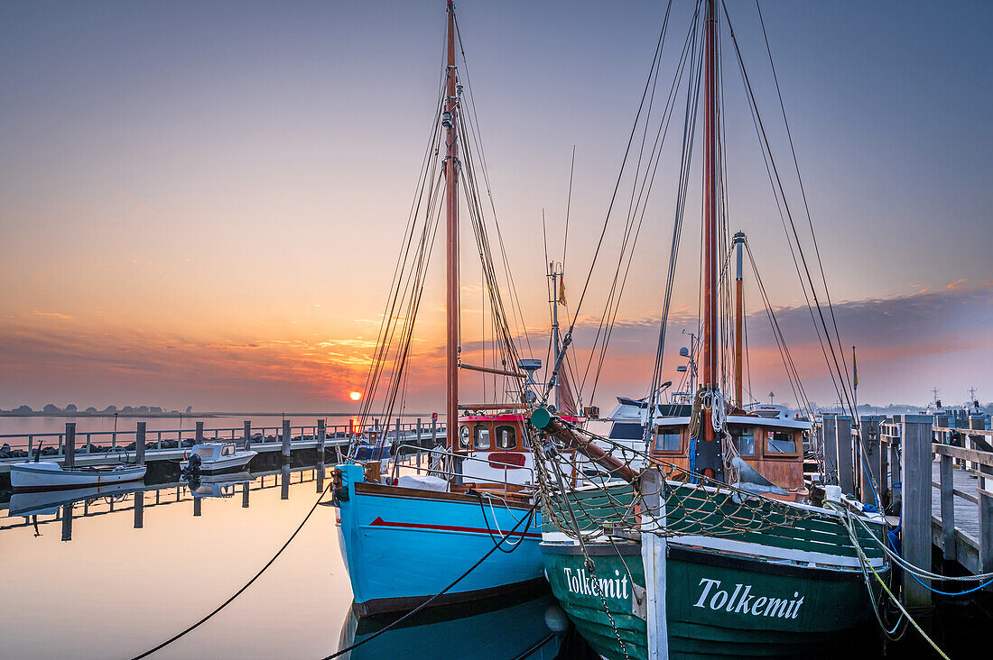 Cutter in the museum harbor of Heiligenhafen in the morning light, harbour, Baltic Sea, Ostholstein, Schleswig-Holstein, Germany