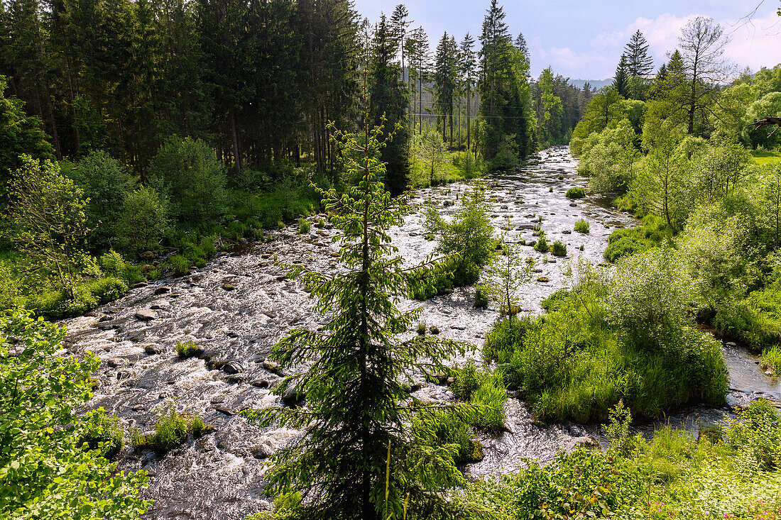 Moldau and Steinernes Meer in the Čertova stěna-Luč nature reserve near Loučovice in the Moldau Valley in the Czech Republic