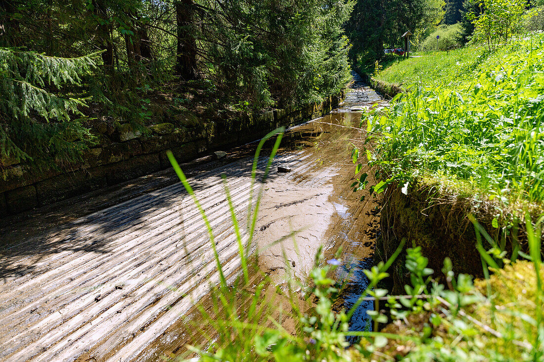 Chinitz-Tettau alluvial canal near Mecho/Mosau in the Šumava National Park in the Bohemian Forest in the Czech Republic